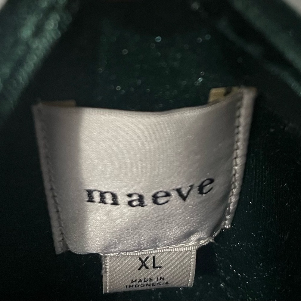 Maeve Deep Green Velvet Blouse - Picture 6 of 6